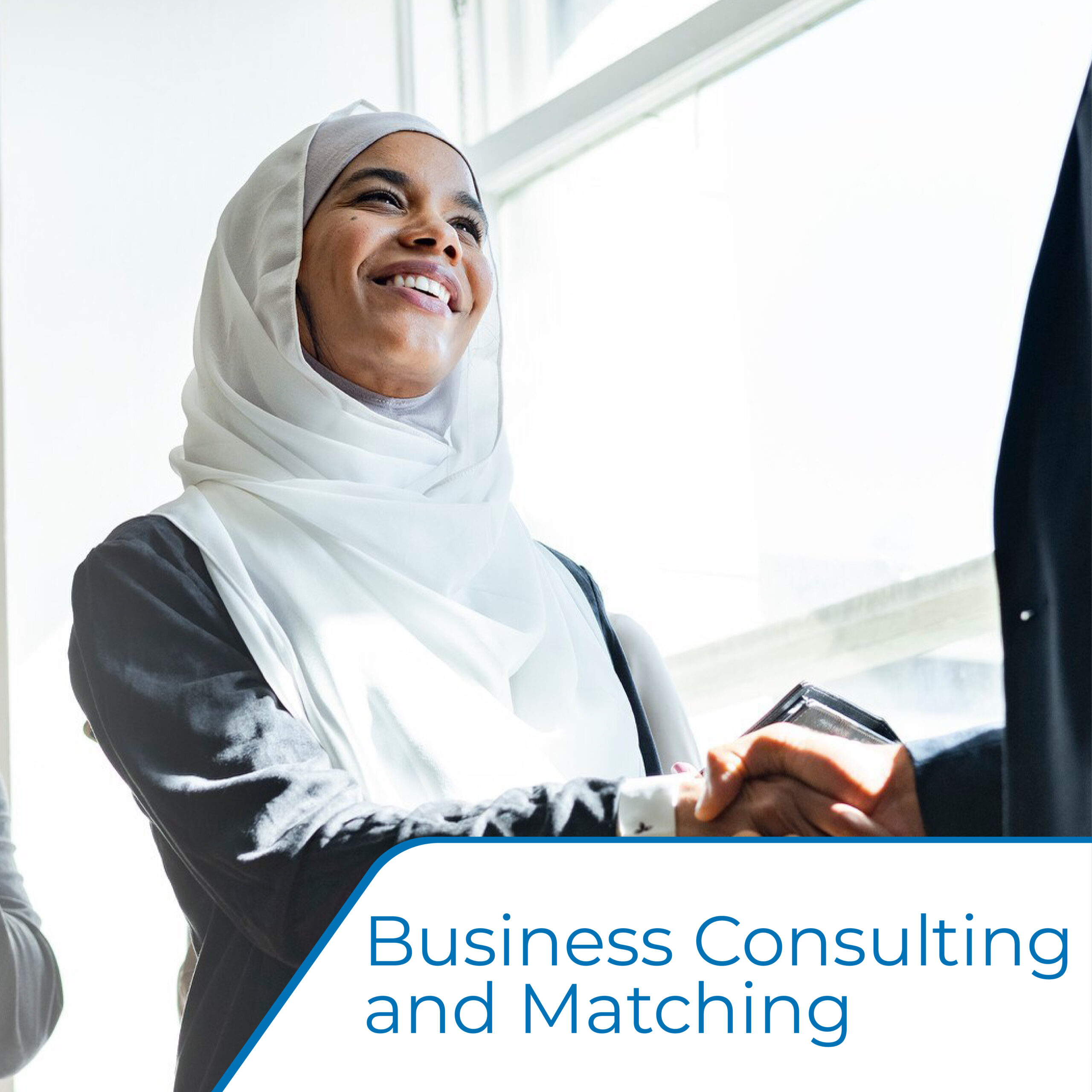 Business Consulting and Matching